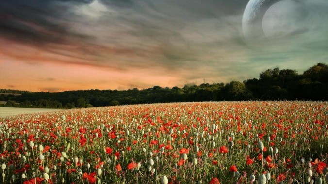 如果苹果真的下架了微信的话，会发生什么？